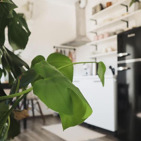Urban Jungle Apartment - Free Parking 卢布尔雅那 外观 照片