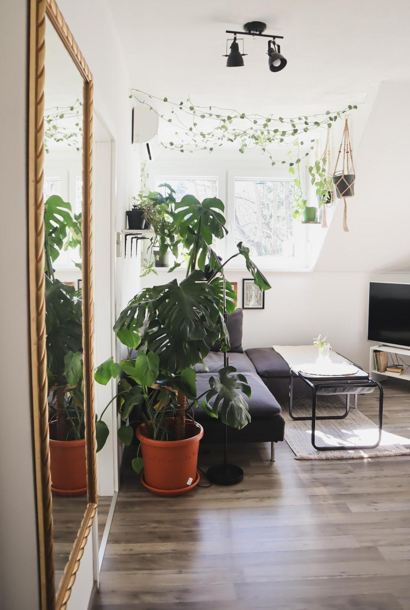 Urban Jungle Apartment - Free Parking 卢布尔雅那 外观 照片