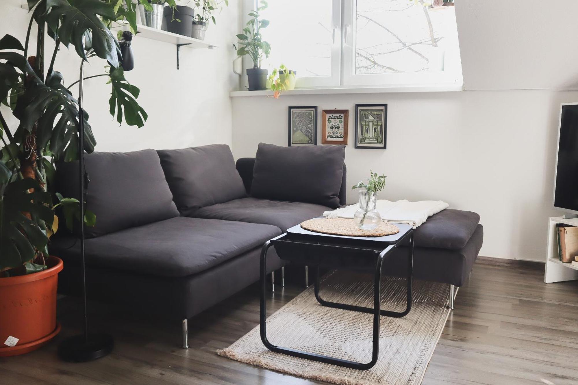 Urban Jungle Apartment - Free Parking 卢布尔雅那 外观 照片