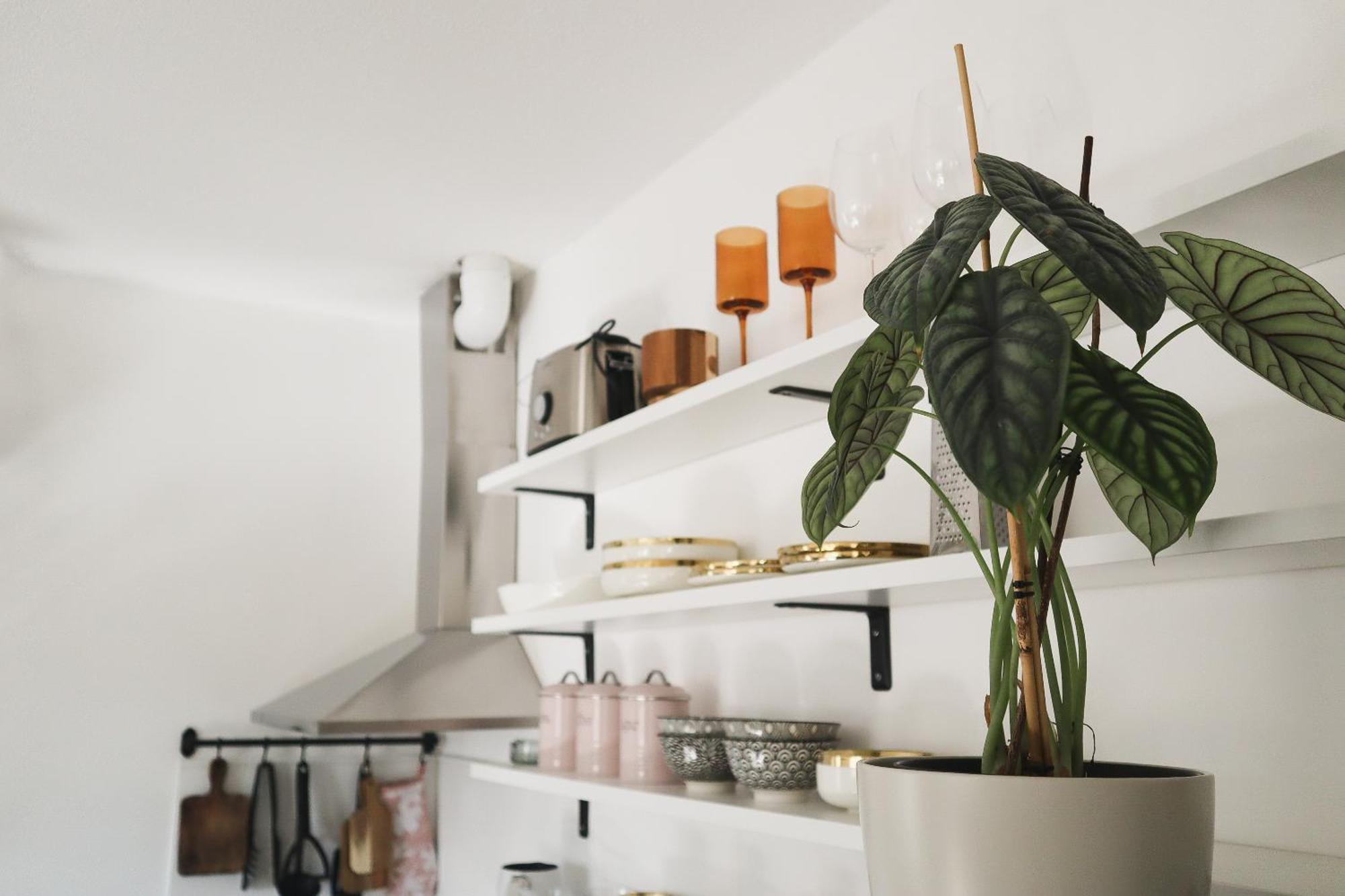 Urban Jungle Apartment - Free Parking 卢布尔雅那 外观 照片