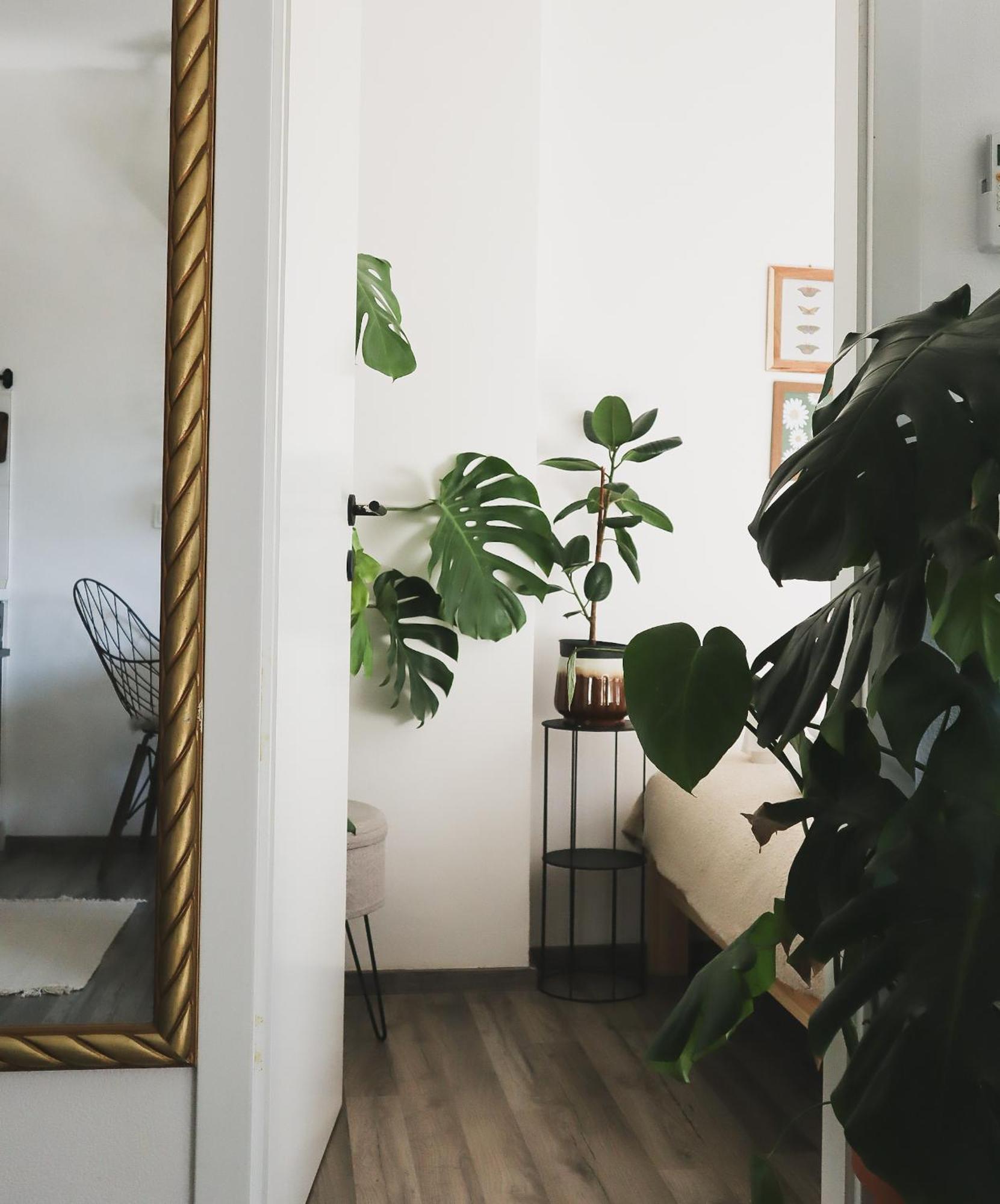 Urban Jungle Apartment - Free Parking 卢布尔雅那 外观 照片