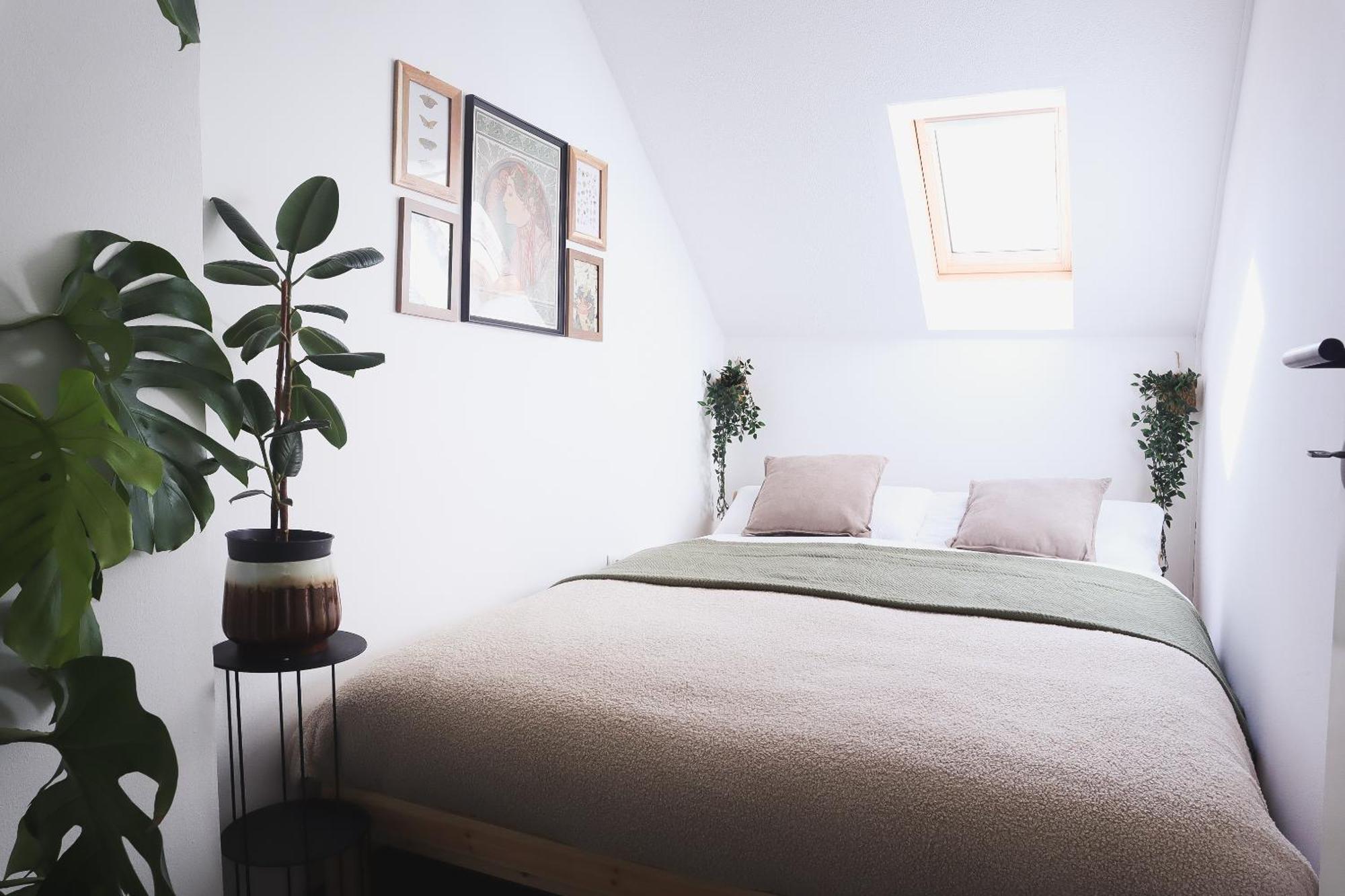 Urban Jungle Apartment - Free Parking 卢布尔雅那 外观 照片