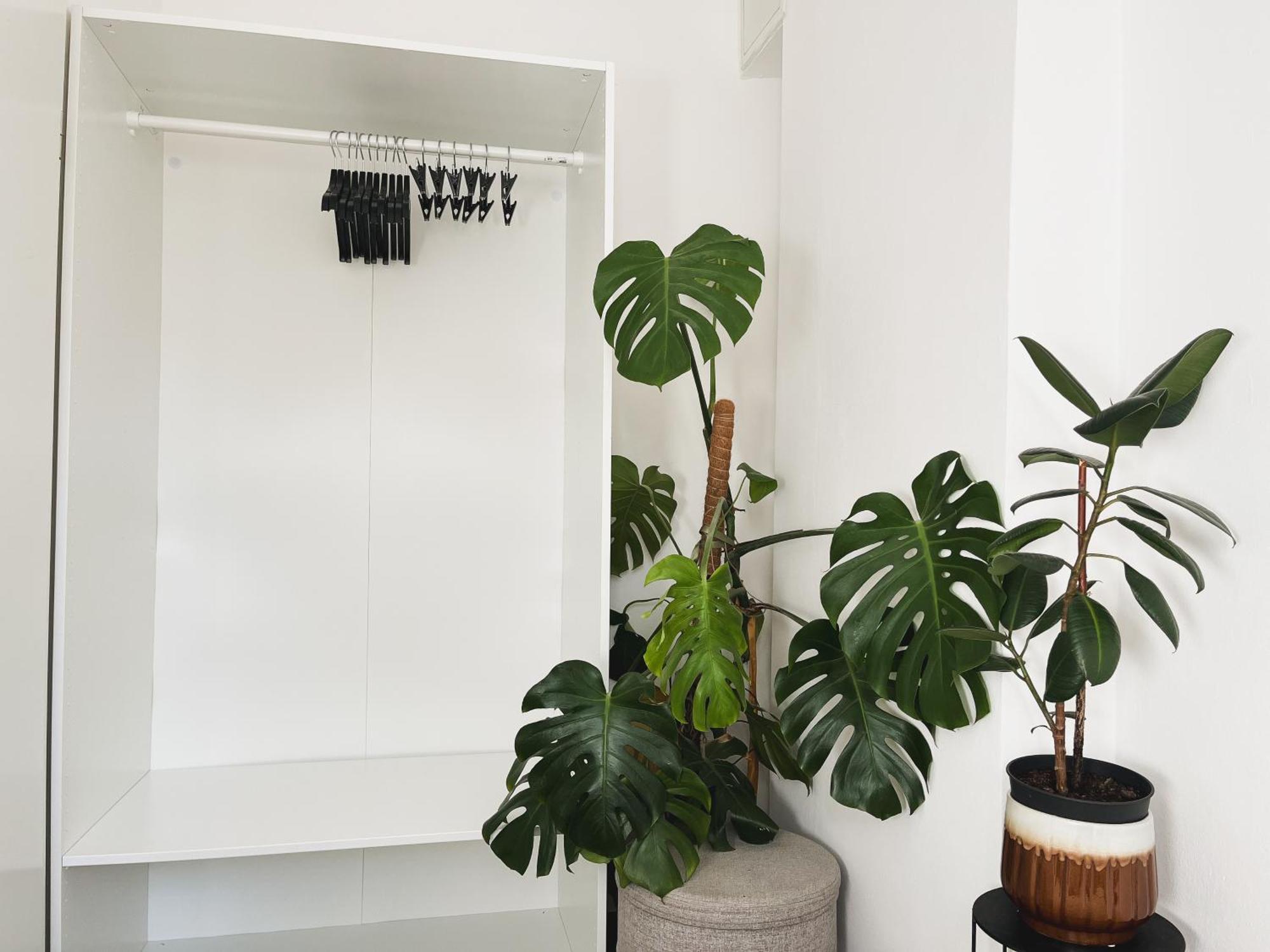 Urban Jungle Apartment - Free Parking 卢布尔雅那 外观 照片