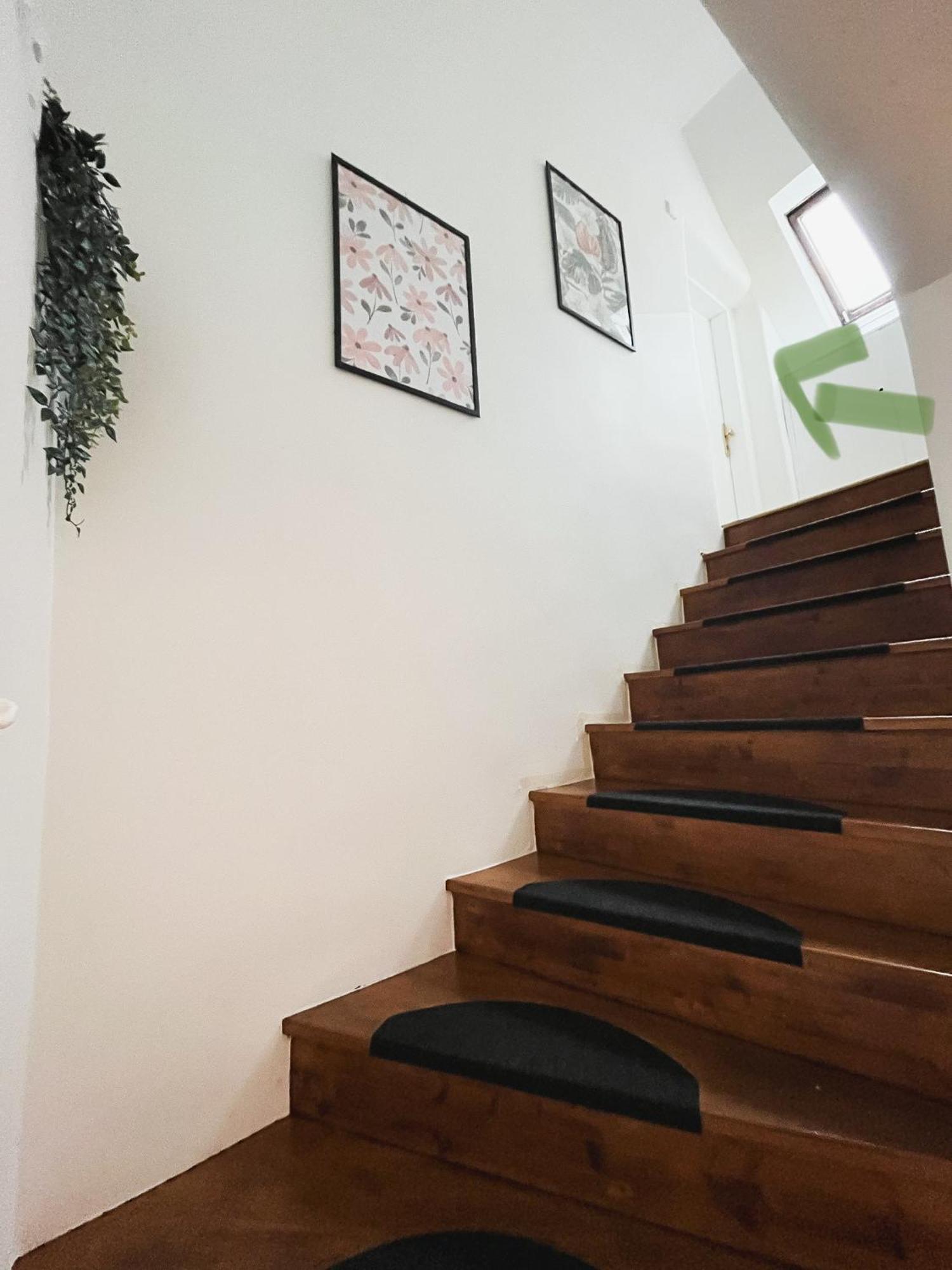 Urban Jungle Apartment - Free Parking 卢布尔雅那 外观 照片